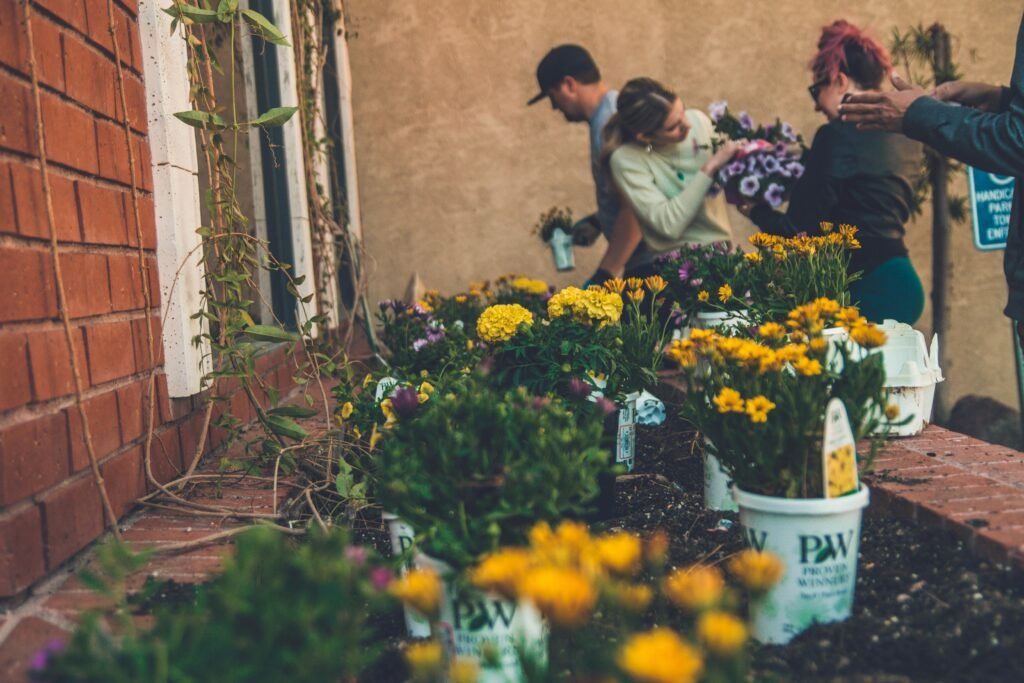 Helpious | Find Help, Offer Help & seek Volunteer
